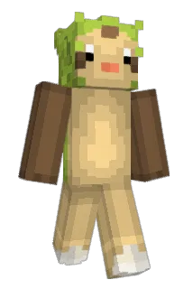 iXreo Minecraft avatar full body