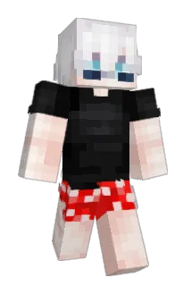 ianis2317 Minecraft avatar full body