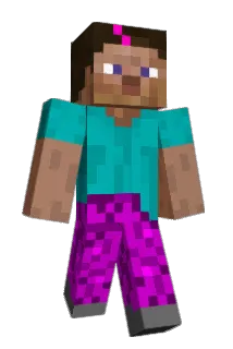 ianitor Minecraft avatar full body