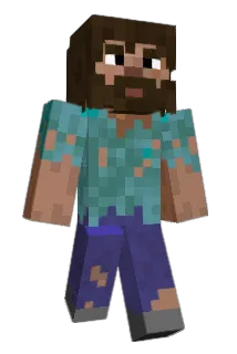 iaoe Minecraft avatar full body
