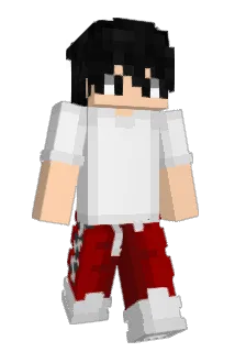 ibotix Minecraft avatar full body