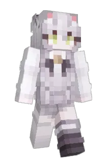icewine211 Minecraft avatar full body