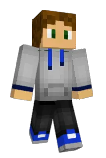 icyfreez100 Minecraft avatar full body