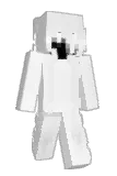icyyi Minecraft avatar full body