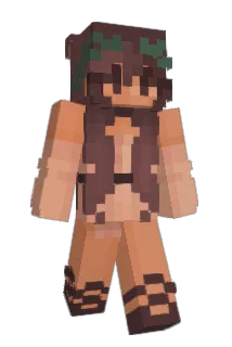 idafriis2007 Minecraft avatar full body