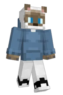 idanot21 Minecraft avatar full body