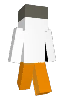 idarkar3000 Minecraft avatar full body