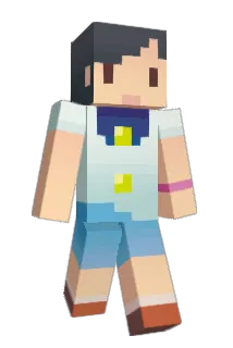 idioot Minecraft avatar full body