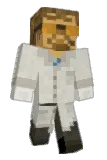 idioso Minecraft avatar full body