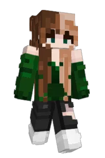 idiotinabag Minecraft avatar full body