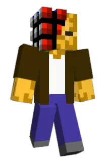 ido207 Minecraft avatar full body