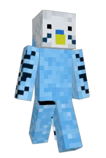 ido567 Minecraft avatar full body