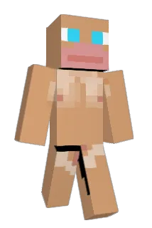 ido6646 Minecraft avatar full body