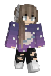 idonated Minecraft avatar full body