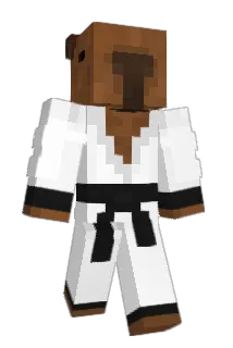 igna_702 Minecraft avatar full body
