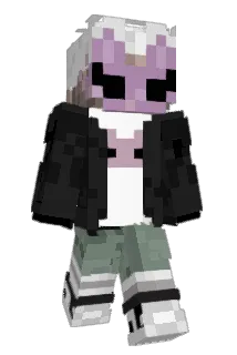 iiAsall Minecraft avatar full body