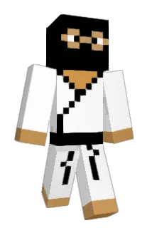 iiFars Minecraft avatar full body