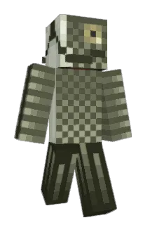 iiNavii Minecraft avatar full body