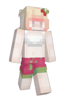 iinternet Minecraft avatar full body