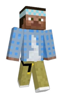 ijfhwo Minecraft avatar full body