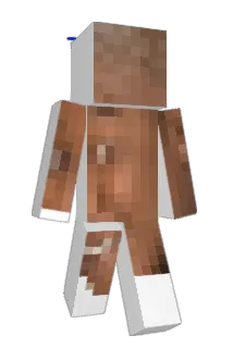 ilWesto Minecraft avatar full body