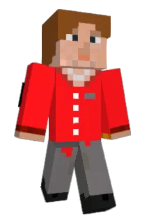 illgenp Minecraft avatar full body