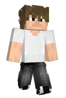 illllusion Minecraft avatar full body
