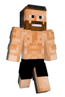 illusison Minecraft avatar full body