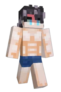 illusurmised Minecraft avatar full body
