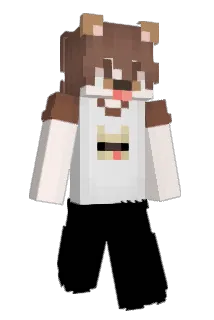 Minecraft-Avatar von ilwyl: ganzer Körper