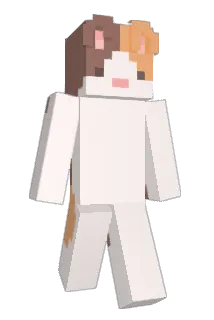 imliterallyjosh Minecraft avatar full body