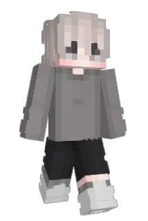 imnotAR15 Minecraft avatar full body