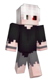 imo113 Minecraft avatar full body