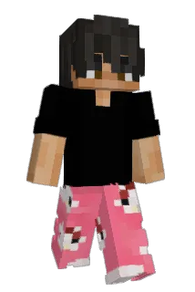 importent Minecraft avatar full body