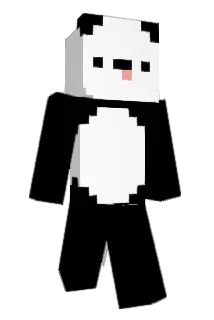 impru Minecraft avatar full body