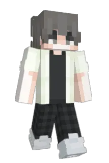 imsurely Minecraft avatar full body