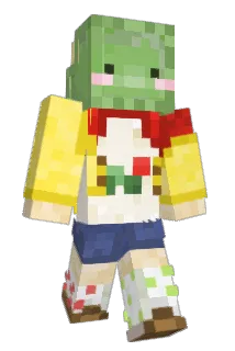 inapples Minecraft avatar full body