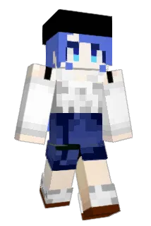 inarin_115 Minecraft avatar full body