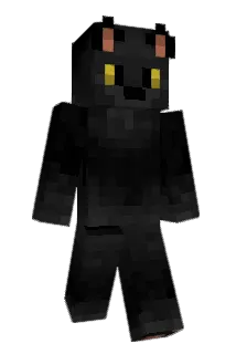 inbiddies Minecraft avatar full body