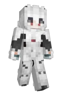 incopacetic Minecraft avatar full body