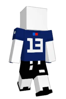 indianscamcall6 Minecraft avatar full body