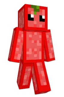 indipixie Minecraft avatar full body