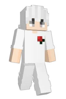 indurate Minecraft avatar full body