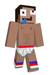 infangec33 Minecraft avatar full body