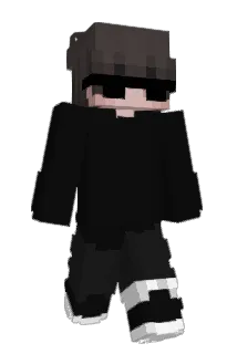 infwcted Minecraft avatar full body