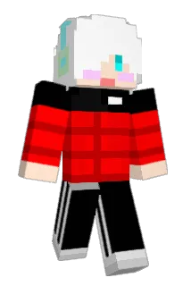 ingkoo Minecraft avatar full body