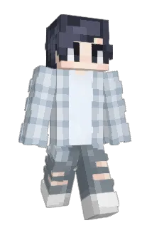 inhabiited Minecraft avatar full body