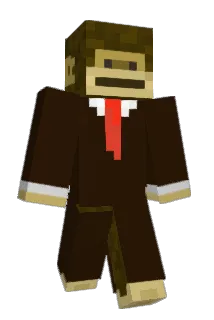 initmate Minecraft avatar full body