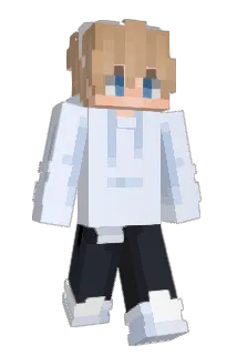 innverted Minecraft avatar full body