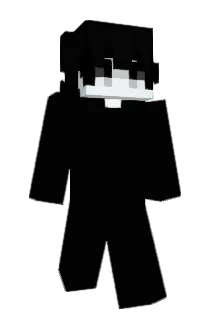 ins4n3e Minecraft avatar full body
